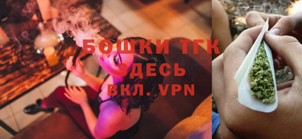 индика Россошь