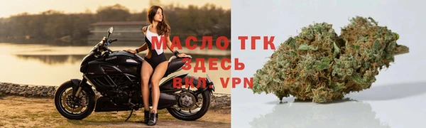 индика Россошь