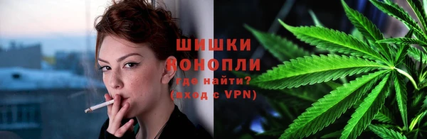 индика Россошь