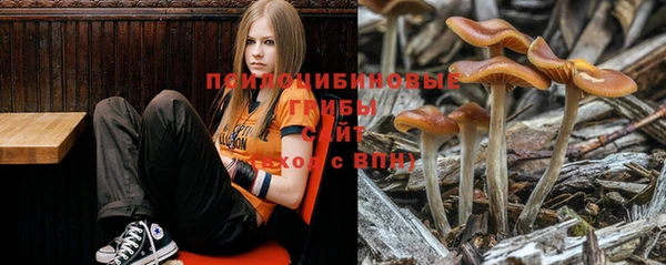 марки nbome Приозерск