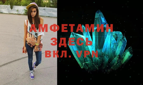 прущие грибы Ростов