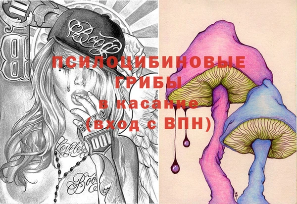 прущие грибы Ростов