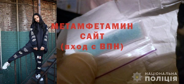 прущие грибы Ростов