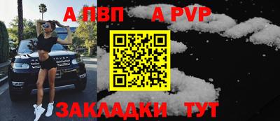 амф Кингисепп