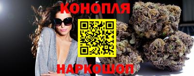 амф Кингисепп