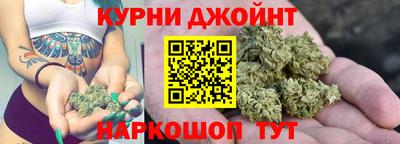 амф Кингисепп