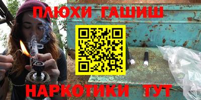 амф Кингисепп