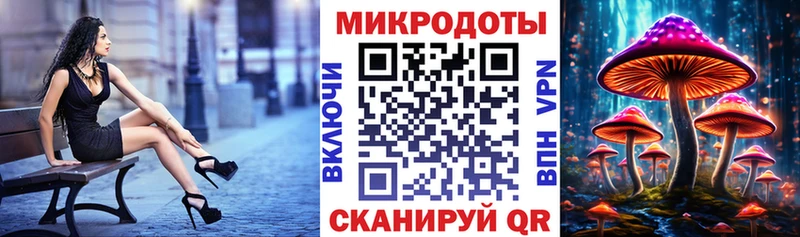 darknet состав  Сегежа  Псилоцибиновые грибы мицелий 