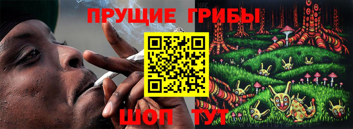 Псилоцибиновые грибы MAGIC MUSHROOMS  Вход с VPN  Сегежа 