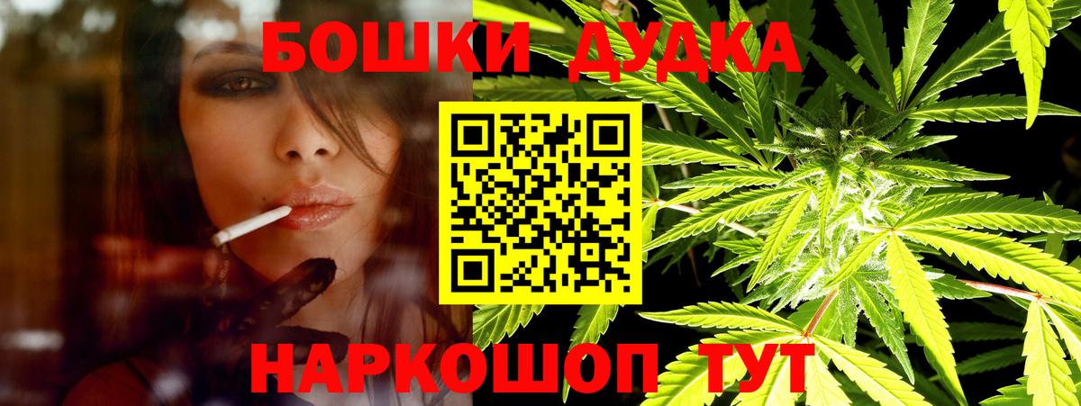 Бошки Шишки план Сегежа